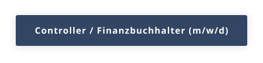 Controller / Finanzbuchhalter (m/w/d)